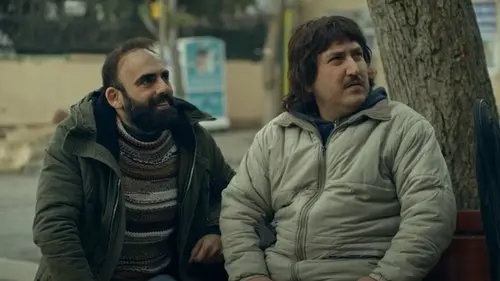 Gibi izle - Dizipal