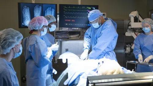 Scrubs izle - Dizipal