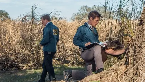 True Detective izle - Dizipal